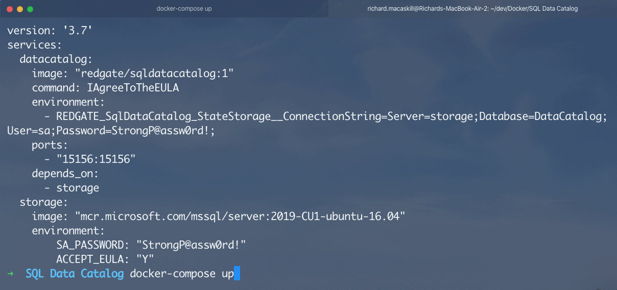 Docker compose up. Docker compose MSSQL. Docker compose up -d команда. Docker compose parameters. Additional property is not allowed