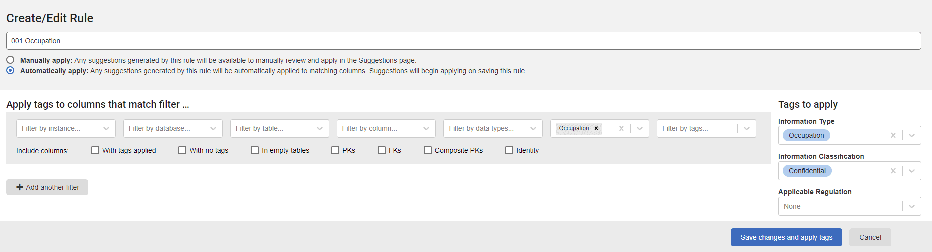 Defining type and classification tags for a predicted information type