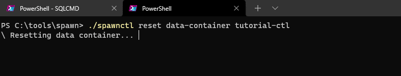 reset a data container