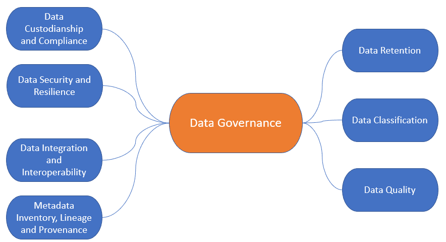 data governance tasks